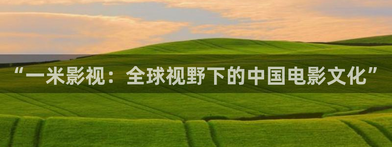 星空电影高清在线观看：“一米影视：全球视野下的中国电影文化”