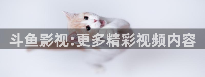 星空影城排片：斗鱼影视:更多精彩视频内容