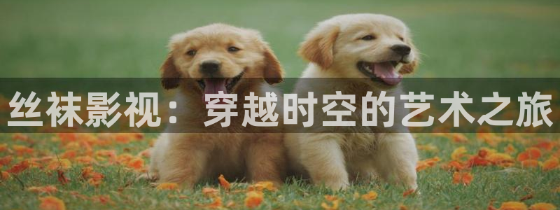 星空影视破解版下载：丝袜影视：穿越时空的艺术之旅