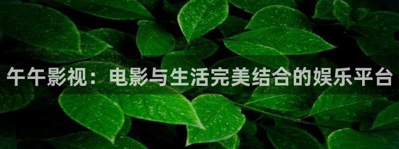 星空影院免费版app：午午影视：电影与生活完美结合的娱乐平台