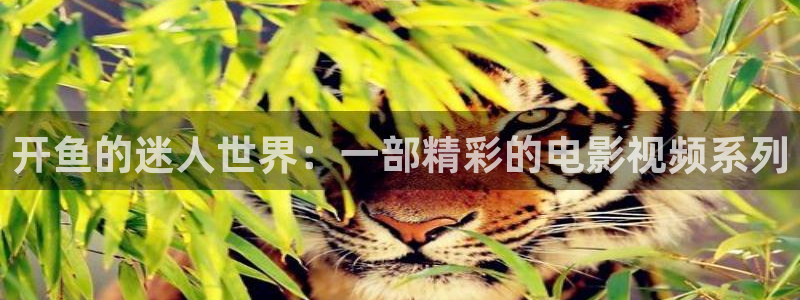 星空影院免费看：开鱼的迷人世界：一部精彩的电影视频系列