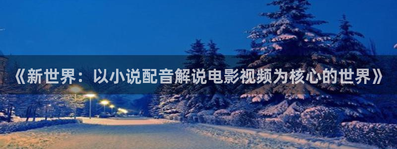 有关星空的电影：《新世界：以小说配音解说电影视频为核心的世界》