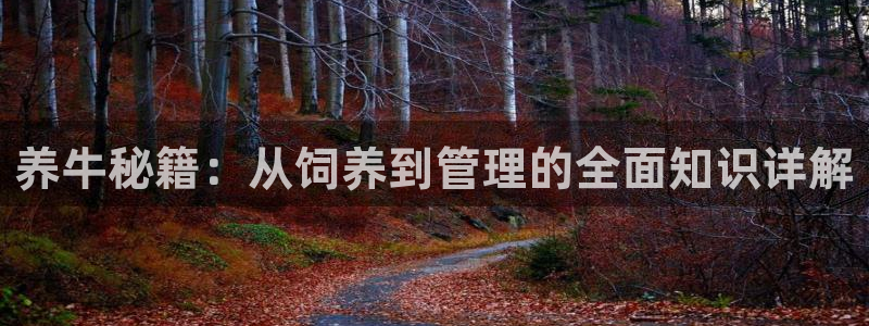 星空家庭影院：养牛秘籍：从饲养到管理的全面知识详解