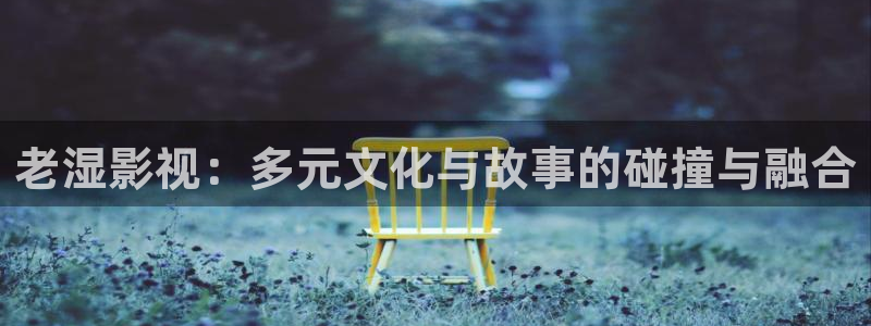 星空影视app下载：老湿影视：多元文化与故事的碰撞与融合