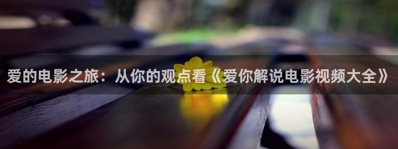 星空影视老版：爱的电影之旅：从你的观点看《爱你解说电影视频大全》