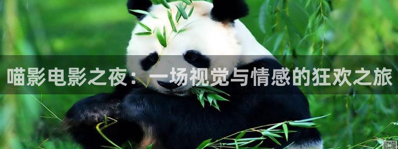 星空影视免费看高清mv：喵影电影之夜：一场视觉与情感的狂欢之旅