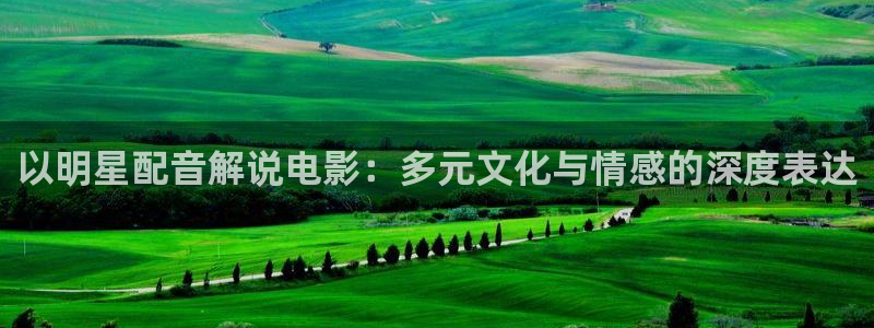 二十不惑星空影视：以明星配音解说电影：多元文化与情感的深度表达