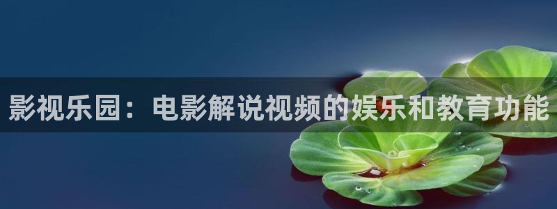 星空影院免费完整观看：影视乐园：电影解说视频的娱乐和教育功能