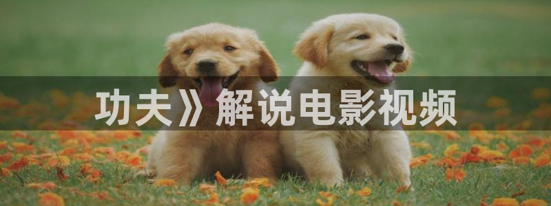 星空影院电影大全：功夫》解说电影视频