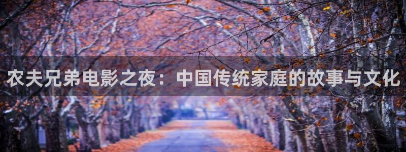 免费在线观看热播星空影院：农夫兄弟电影之夜：中国传统家庭的故事与文化
