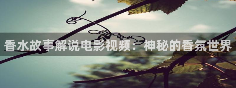 星空影视免费观看电影大全在线观看：香水故事解说电影视频：神秘的香氛世界