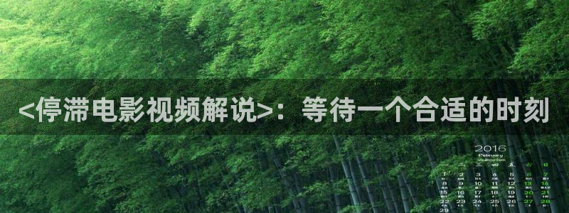 长乐曲免费观看星空影院：<停滞电影视频解说>：等待一个合适的时刻