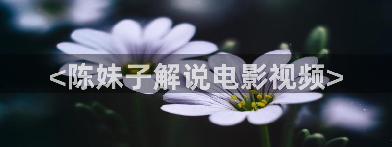 星空影院网站：<陈妹子解说电影视频>