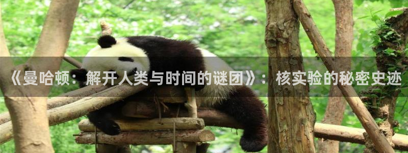星空在线观看电影：《曼哈顿：解开人类与时间的谜团》：核实验的秘密史迹