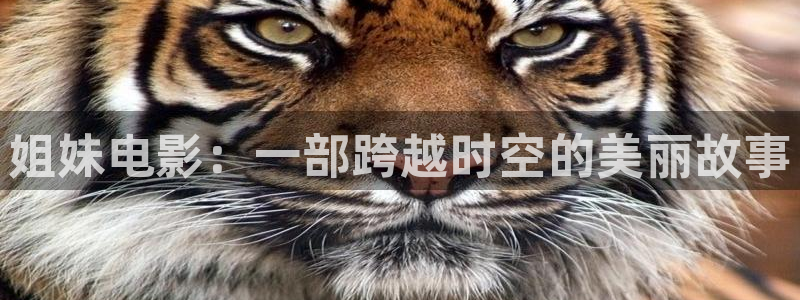 星空影院mv：姐妹电影：一部跨越时空的美丽故事