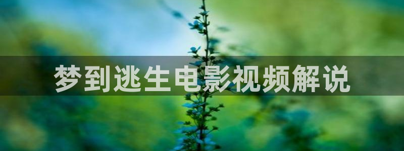 星空电影台直播：梦到逃生电影视频解说