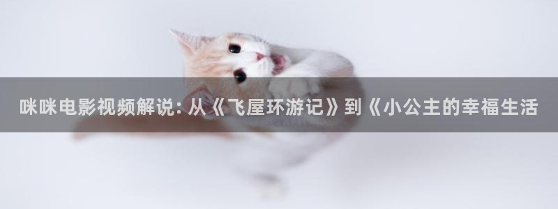 星空无限传媒免费播放：咪咪电影视频解说: 从《飞屋环游记》到《小公主的幸福生活