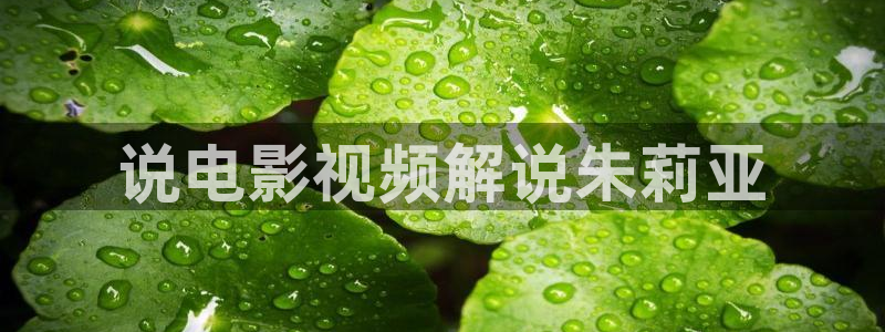 星空免费观看：说电影视频解说朱莉亚