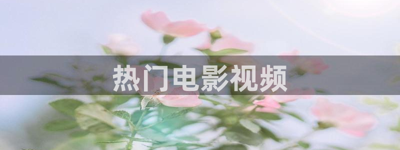星空影视手机：热门电影视频